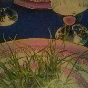 Meet your Posher, Lennell